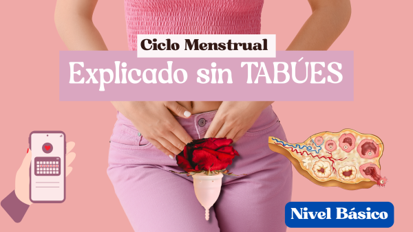 Ciclo Menstrual: Explicado de forma SIMPLE e INTEGRAL