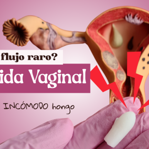 "Cándida Vaginal: TODO lo que DEBES saber sobre este hongo 🍄"