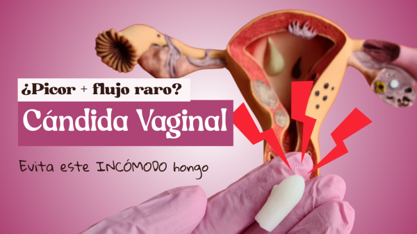 "Cándida Vaginal: TODO lo que DEBES saber sobre este hongo 🍄"