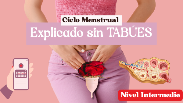 TODO lo que DEBES saber de tu ciclo Menstrual🩸